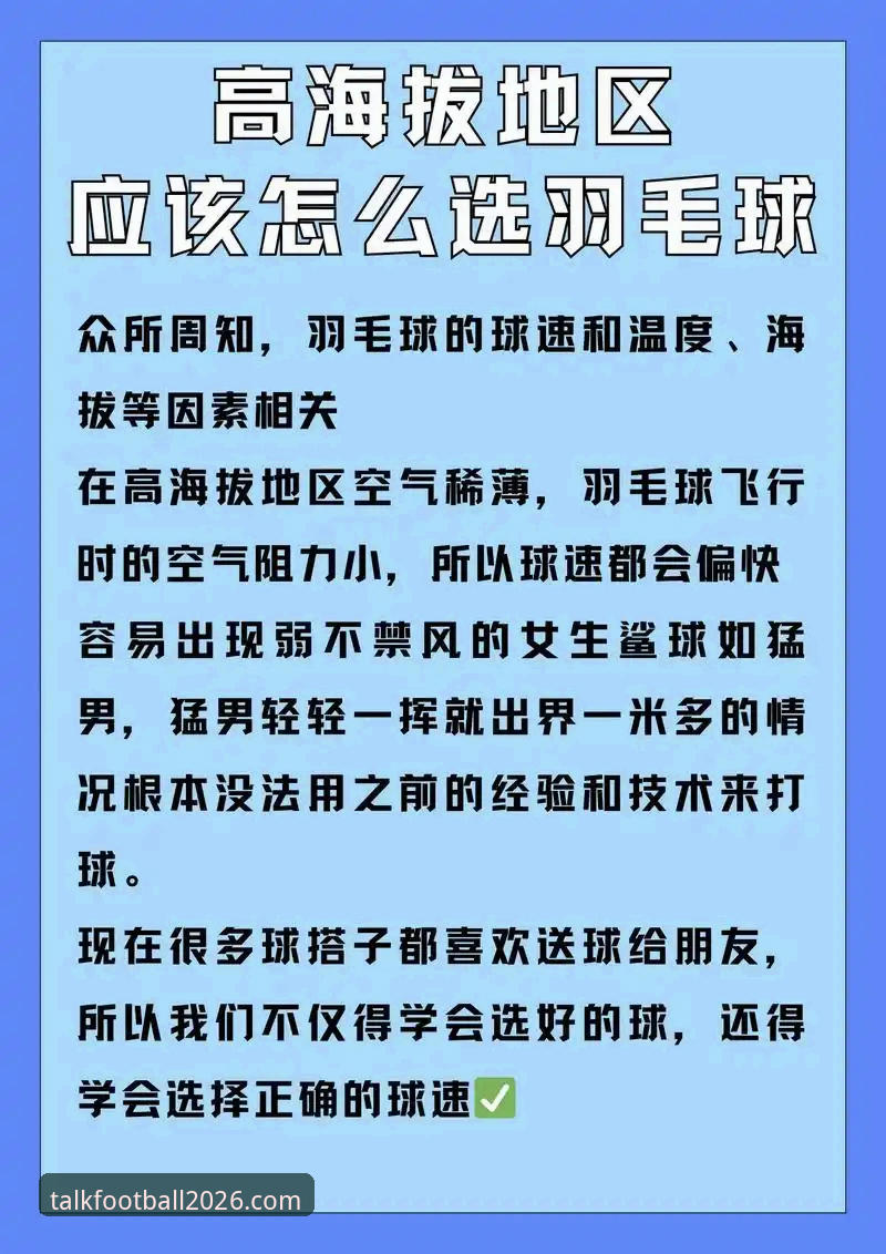 3个步骤搞定聊球2026下载安装教程，实测体验升级全解析