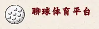 使用指南与常见问题